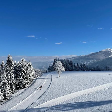 Burglehnerhof Aparthotel Ramsau am Dachstein Exteriör bild