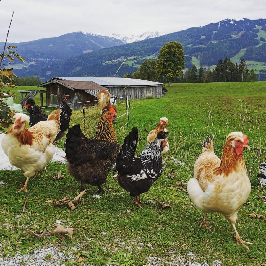 Burglehnerhof Aparthotel Ramsau am Dachstein Exteriör bild