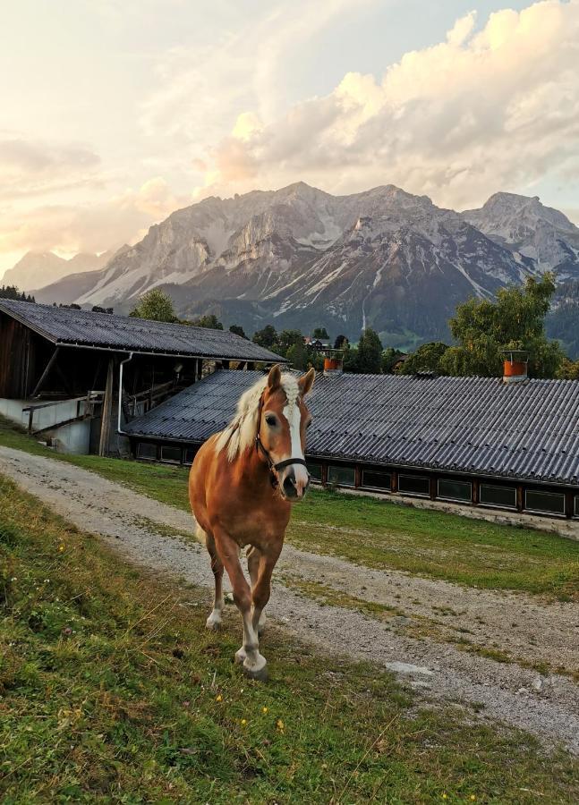 Burglehnerhof Aparthotel Ramsau am Dachstein Exteriör bild