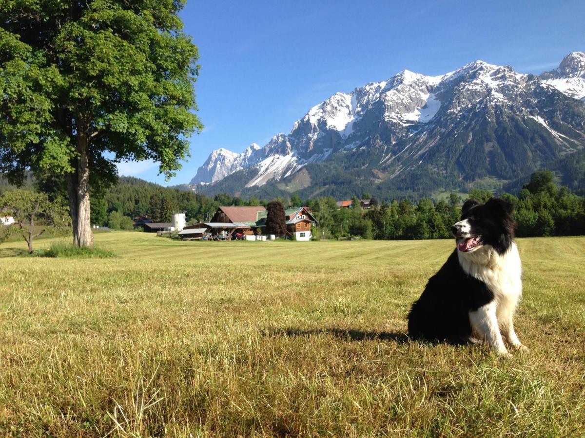 Burglehnerhof Aparthotel Ramsau am Dachstein Exteriör bild