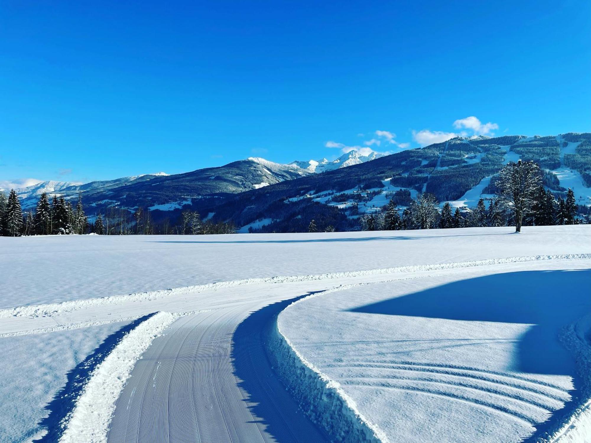 Burglehnerhof Aparthotel Ramsau am Dachstein Exteriör bild