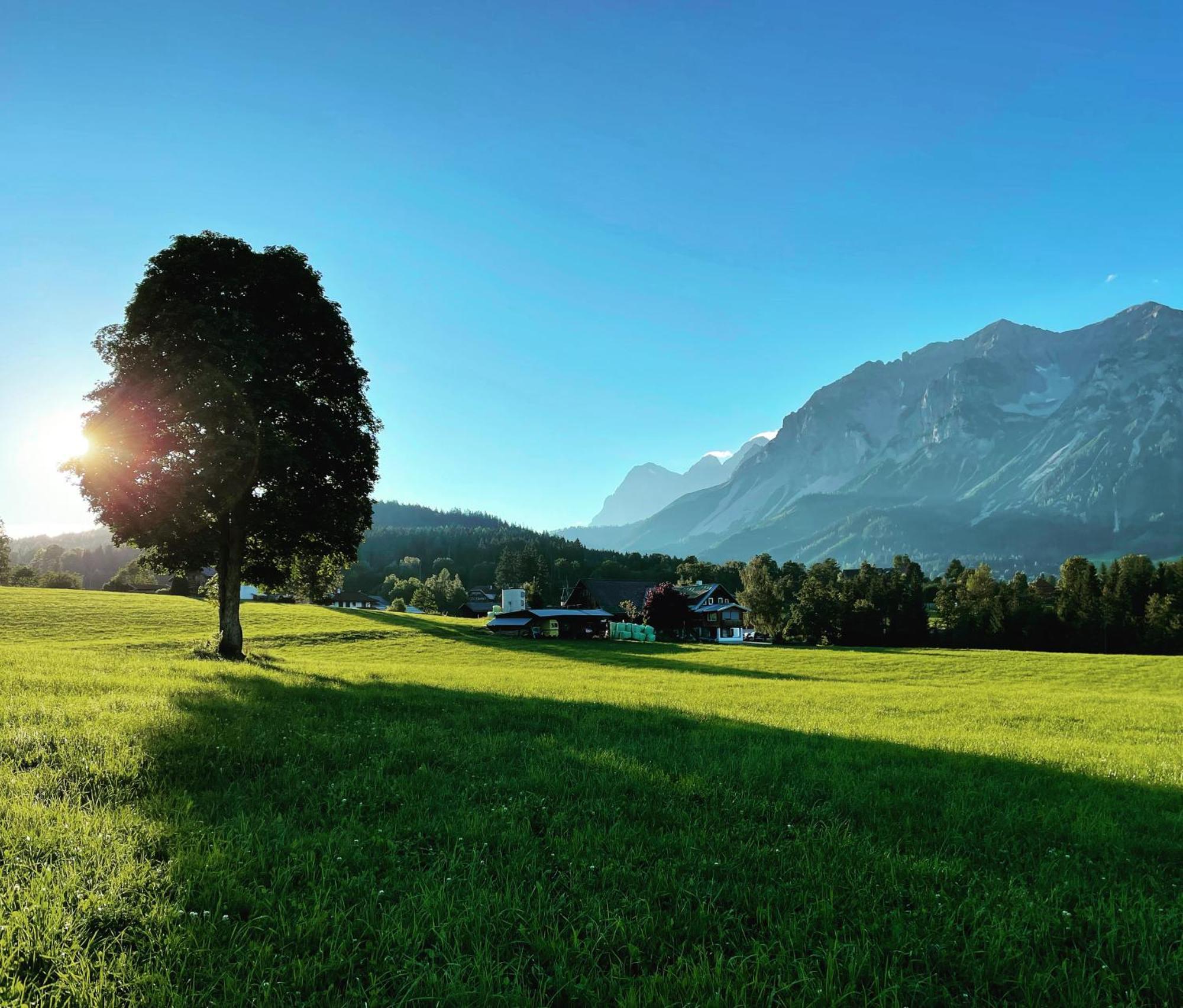 Burglehnerhof Aparthotel Ramsau am Dachstein Exteriör bild